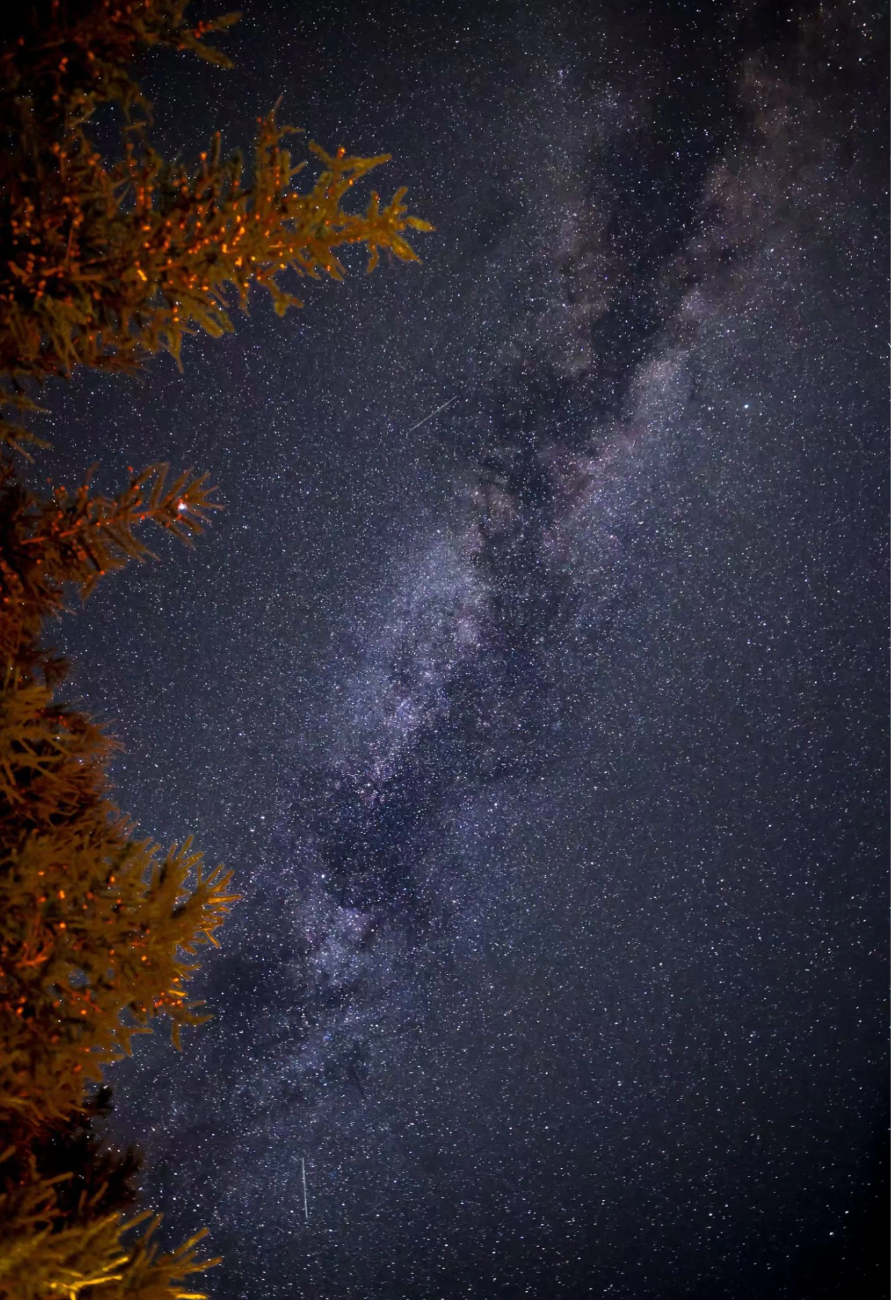Beijing Escape: Gemini Meteor Shower & Winter Forest Hike