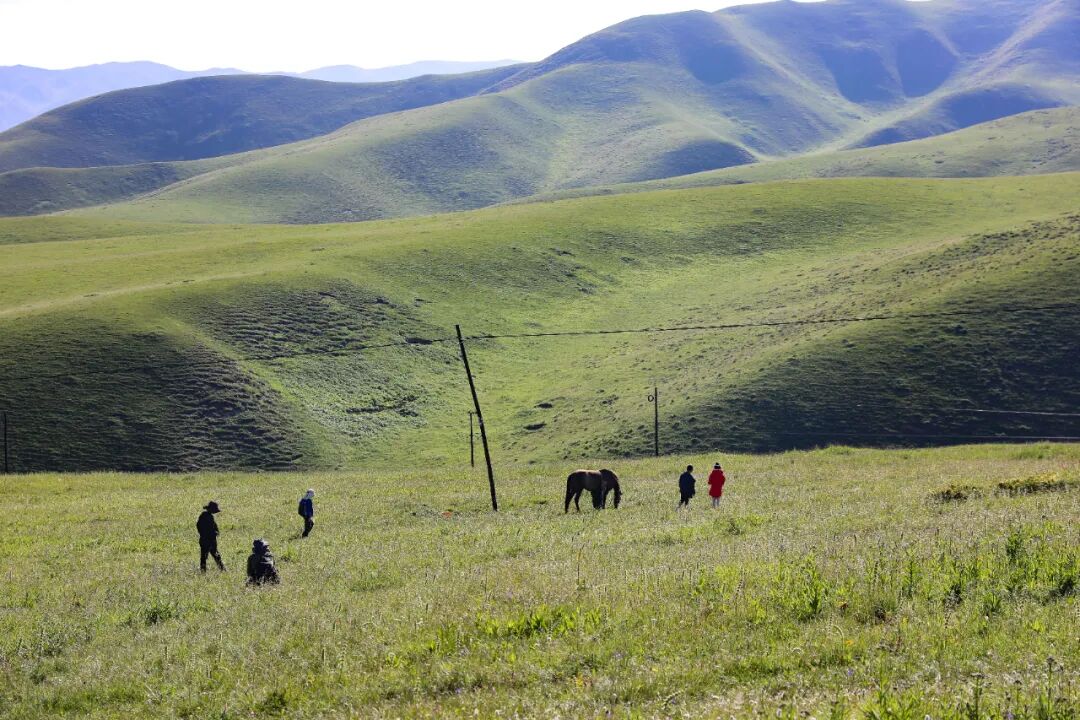 Gansu, Qinghai & Hehuang: Where Faith Meets the Plateau