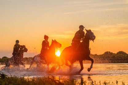 Inner Mongolia: 7-Day Horseback Expedition Across