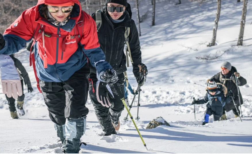 Beijing Escape: Gemini Meteor Shower & Winter Forest Hike