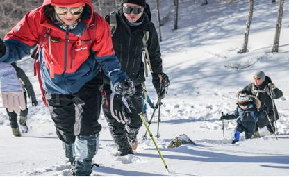 Beijing Escape: Gemini Meteor Shower & Winter Forest Hike