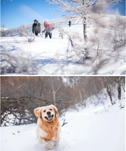 Beijing Escape: Gemini Meteor Shower & Winter Forest Hike