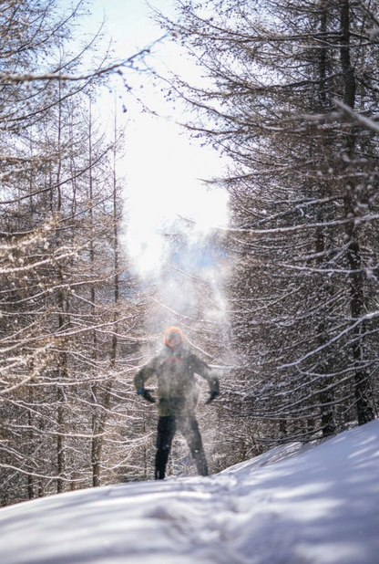 Beijing Escape: Gemini Meteor Shower & Winter Forest Hike