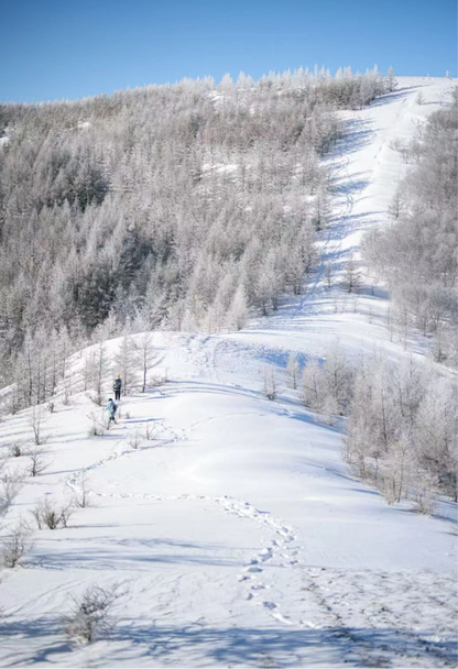 Beijing Escape: Gemini Meteor Shower & Winter Forest Hike