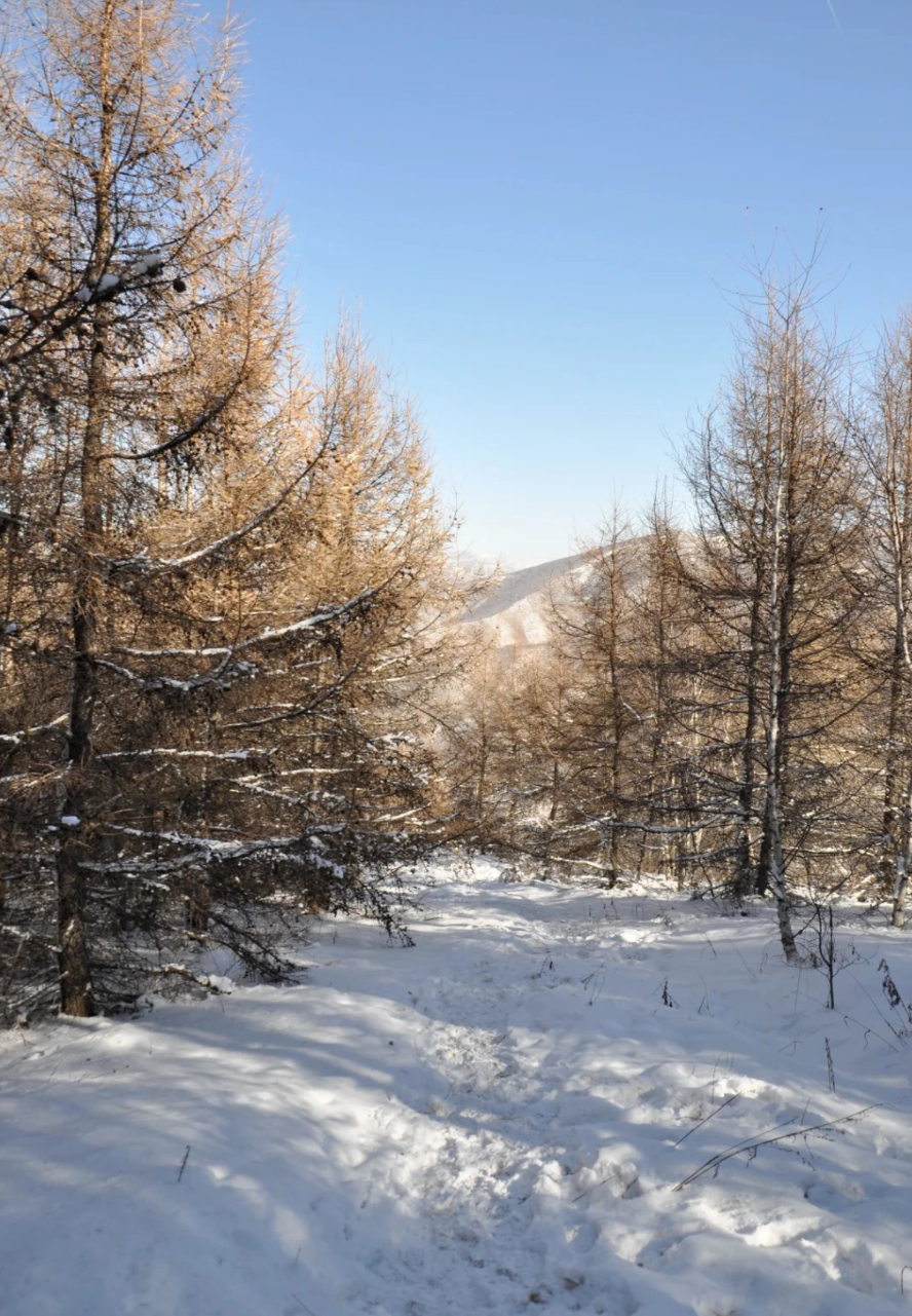 Beijing Escape: Winter Solstice Snow Hike in Chongli