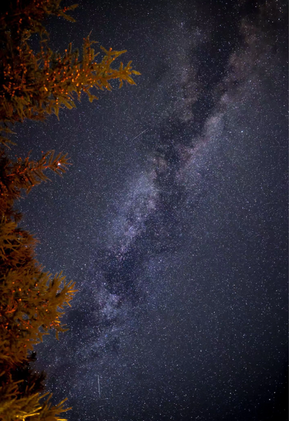 Beijing Escape: Gemini Meteor Shower & Winter Forest Hike