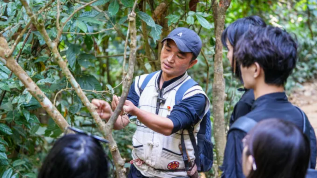 “Voices of Yunnan”: A Cultural Immersion into South Yunnan