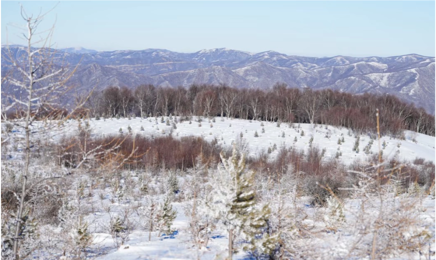 Beijing Escape: Winter Solstice Snow Hike in Chongli