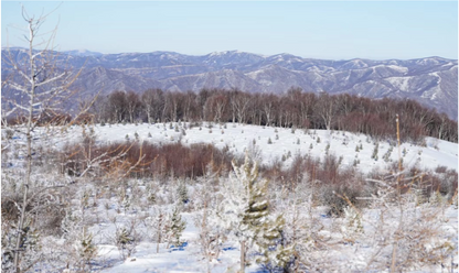 Beijing Escape: Winter Solstice Snow Hike in Chongli
